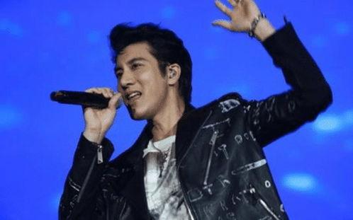 娱乐圈吃瓜男歌手名单,揭秘那些被隐藏的八卦故事  第2张