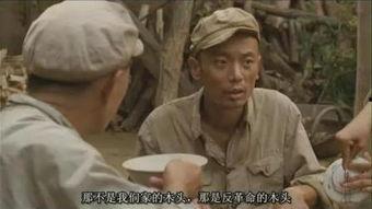 活着 在线观看,一部揭示生命意义的感人史诗  第3张